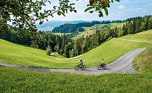 Herzschlaufe Gotthelf.