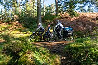 Tern Orox Adventure Cargobike. Eine Familie fährt mit Fahrrädern durch den Wald.