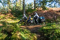 Tern Orox Adventure Cargobike. Eine Familie fährt mit Fahrrädern durch den Wald.
