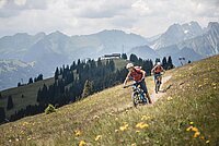 Mountainbiker fahren auf einem Trail