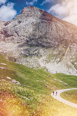 Zwei Rennradfahrer vor einer imposanten Bergkulisse im Schweizer Kanton Wallis.