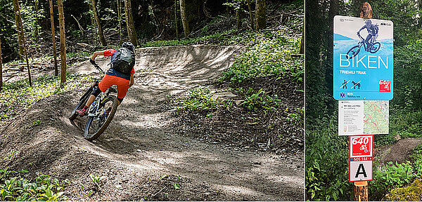 Wo und wie fahren die Zürcher Mountainbike. Mann fährt auf Biketrail im Wald.