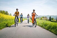 Vier Personen fahren mit E-Bikes auf einer Landstrasse.