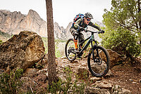 Ein Mountainbiker fährt auf einem Biketrail.