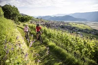 Tramin – wo Radfahren  zum Genuss wird