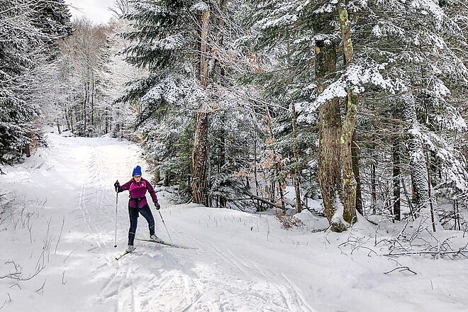 Im Winter lässt es sich auch gut auf Langlaufski für die nächste Velosaison trainieren. Eine Frau fährt mit Langlaufski durch einen Wald
