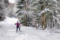 Eine Frau fährt mit Langlaufski durch einen Wald