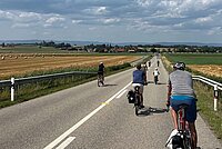 Velofahrende fahren nebeneinander auf der Strasse die über Wiesen und Felder führt