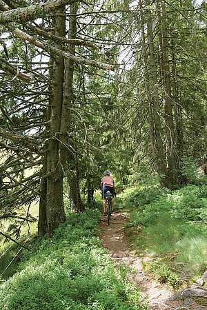 Ein Mann fährt mit dem Velo auf einem Waldweg