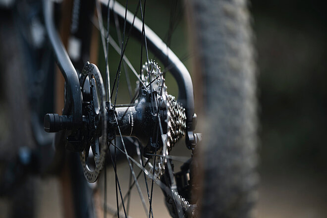 Classified Powershift für Mountainbikes. Kassette und Nabe eines Bikes.