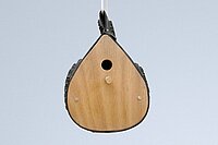 Vogelhaus