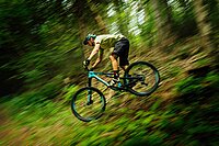 Ein Mountainbiker fährt durch den grünen Wald.