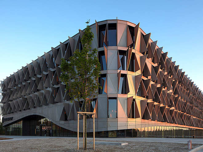 Scott Sports zwei Co-CEOs an der Spitze.