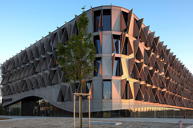 Scott Sports zwei Co-CEOs an der Spitze.