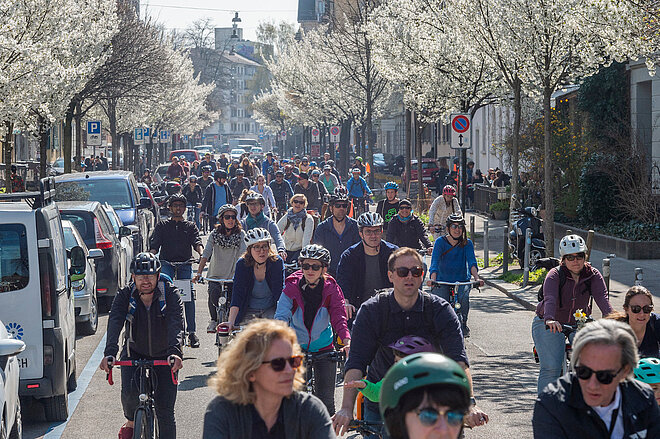 Eine Strasse, auf der viele Menschen Fahrrad fahren. Links und rechts Kirschbäume.