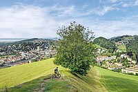 Moutainbike Tour rund um die Stadt St. Gallen. Grüne Wiese mit einem Baum in der Mitte.