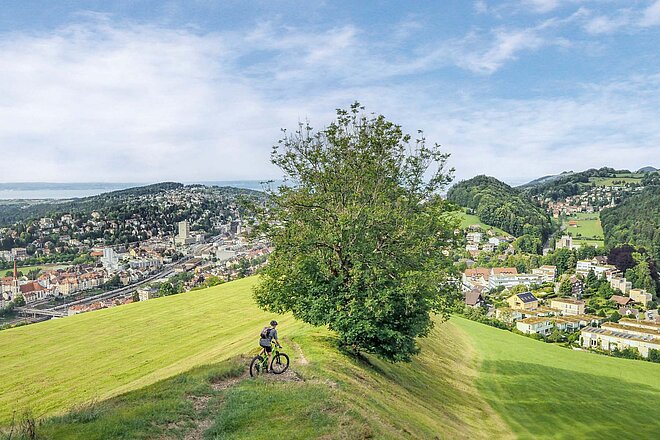 Schönster Aussichtspunkt der Tour: Solitüde. Moutainbike Tour rund um die Stadt St. Gallen. Grüne Wiese mit einem Baum in der Mitte.
