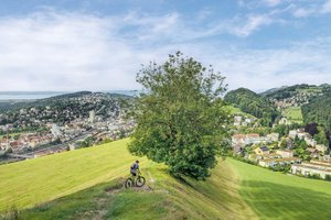 Moutainbike Tour rund um die Stadt St. Gallen. Grüne Wiese mit einem Baum in der Mitte.
