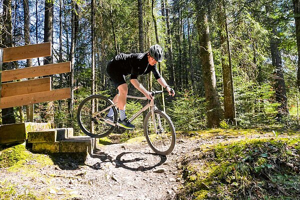 Eine Peson fährt mit dem Gravelbike über eine Treppenstufe im Wald.