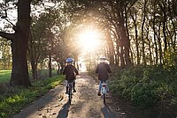 Sicher Radfahren mit Kindern. Zwei Kinder fahren auf einem Waldweg mit dem Fahrrad.