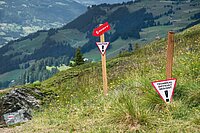 Swiss Cycling. Mountainbike Trail in Lenzerheide. Wegweise auf grüner Wiese in den Alpen.
