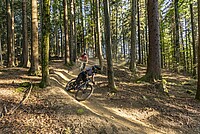 zwei Mountainbikerinnen biken durch den Wald