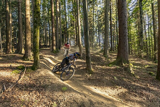 zwei Mountainbikerinnen biken durch den Wald