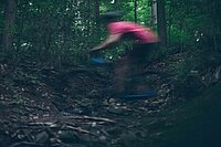 Solothurn Waldgesetz Bikverbot. Mountainbiker im Wald.
