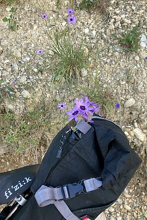 Radler-Stilleben mit Feldblumen.