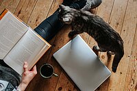 Buch und Katze