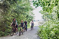 Eine Familie fährt mit Velos einen Waldweg entlang.