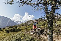 Marktbulletin Velohandel Schweiz 2023. 