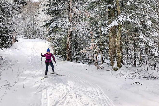 Wintertraining für Radfahrer. Eine Person fährt auf Langlaufski durch einen verschneiten Wald auf einer Loipe.