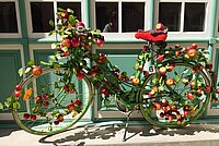 Ein mit Äpfeln geschmücktes Fahrrad steht an einer Wand.