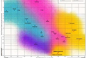 Grafischer Vergleich verschiedener Bewegungsformen.