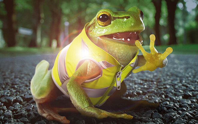 Frosch in Leuchtweste