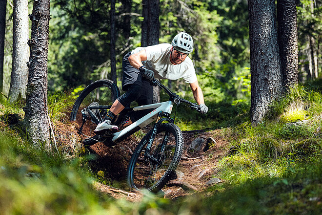 Bixs Sign-E Carbon E-Mountainbike Modellreihe