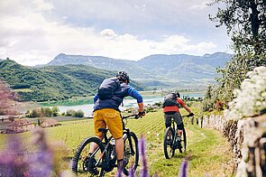 Biker fahren auf den Kalterer See zu.