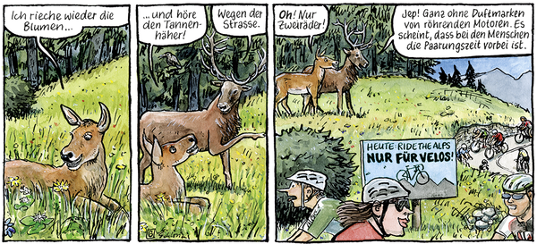 Sogar Wildtiere freuen sich über den autofreien Pass. 