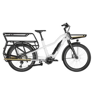 Cargobike Typenkunde. E-Bike mit grossem Gepäckträger.