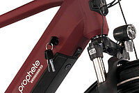 Detailansicht vom Prophete «Entdecker».