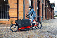 Ein Mann mit Jeansjacke fährt auf einem roten Lastenvelo. In der Transportbox sitzt ein Hund