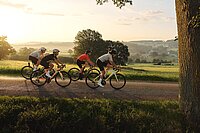 Rennradfahrerinnen im Sonnenuntergang.