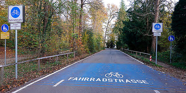 ZIV Studie Speed-Pedelecs. Radweg mit blauer Einfärbung in Deutschland.