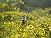 Mann auf Fahrrad in Blumen