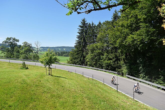 Radfahrer auf einer Strasse, im Hintergrund Bäume.