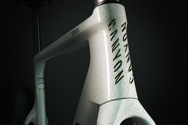 Steuerrohr eines Rennrads. Der Hintergrund ist schwarz. Auf dem Rennrad steht die Aufschrift Canyon.