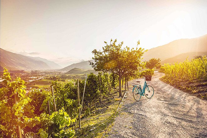 Sonnenuntergang über Salgesch und dessen Weinberge