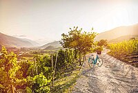 Sonnenuntergang über Salgesch und dessen Weinberge