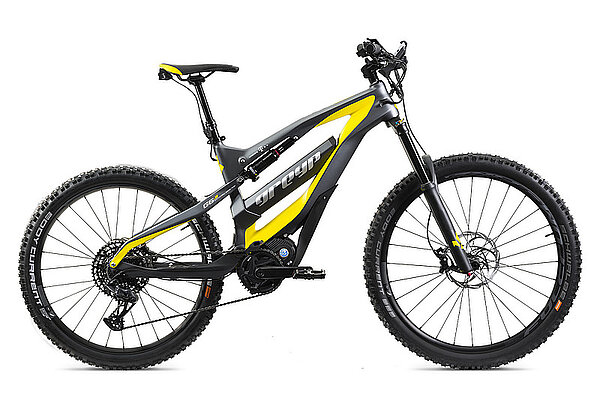 E-Mountainbike von Greyp